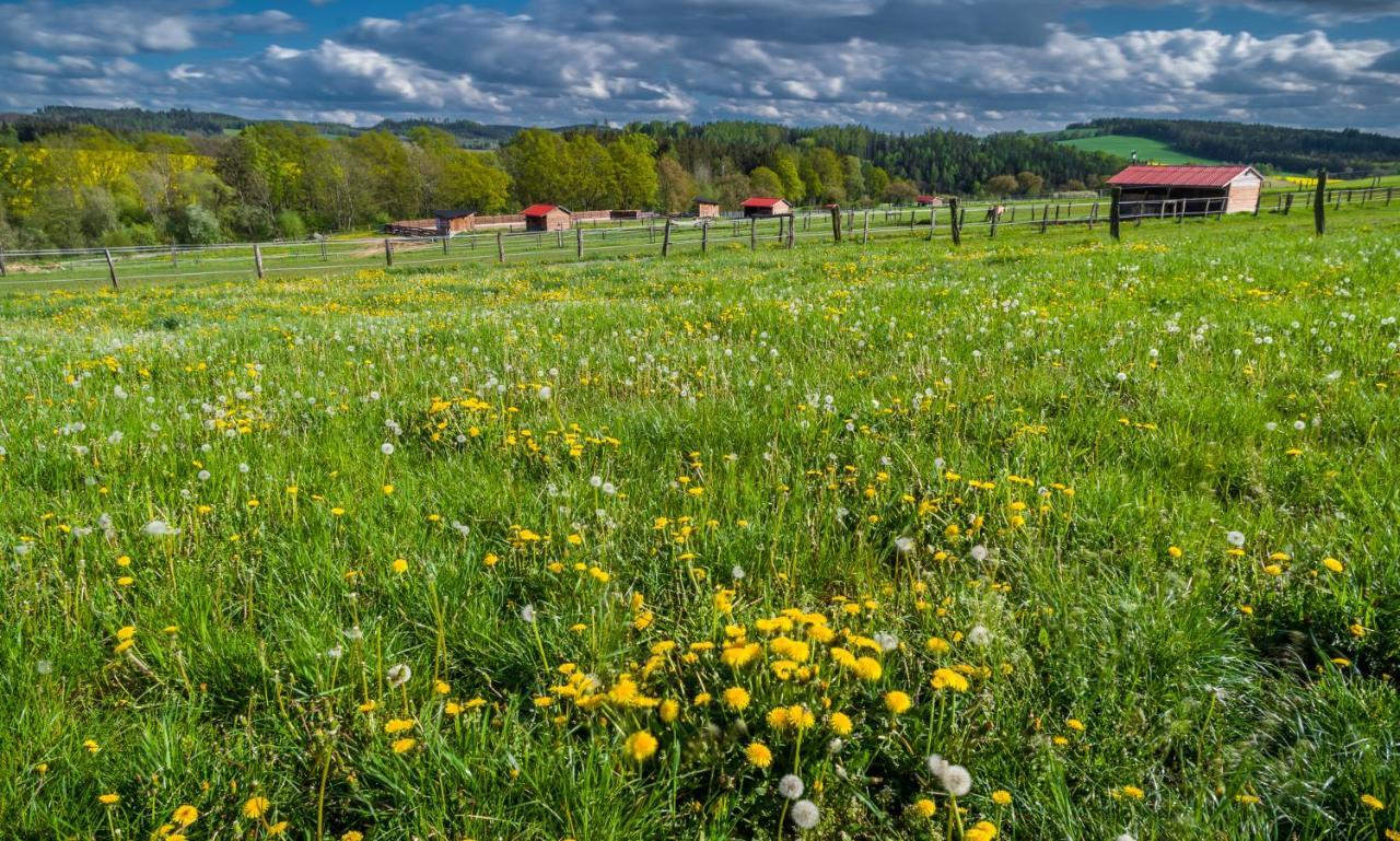 Hotel Ranch Jestrebice Hermanicky Zewnętrze zdjęcie