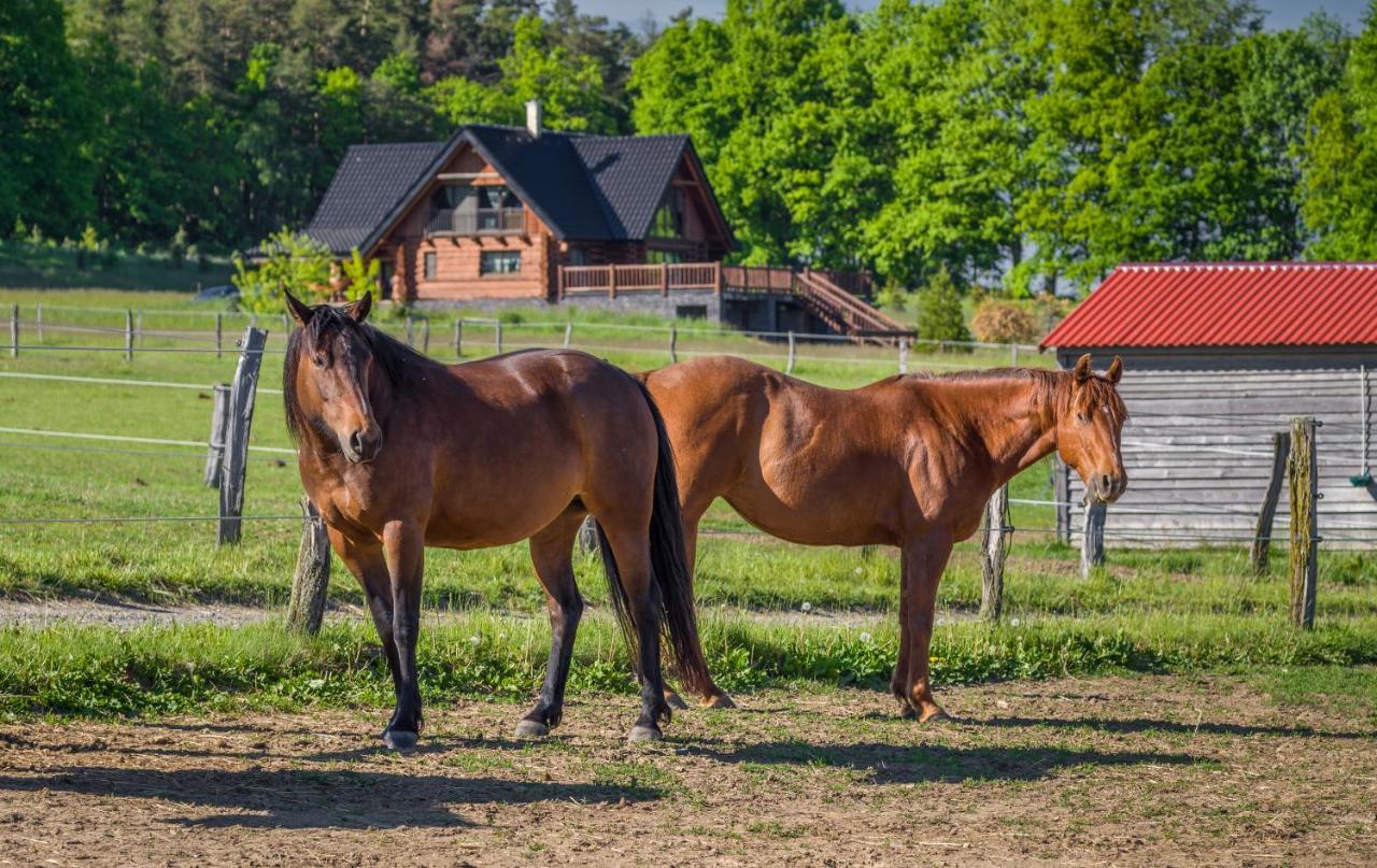 Hotel Ranch Jestrebice Hermanicky Zewnętrze zdjęcie