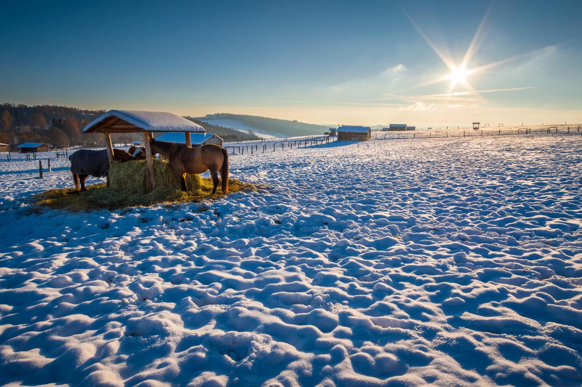 Hotel Ranch Jestrebice Hermanicky Zewnętrze zdjęcie